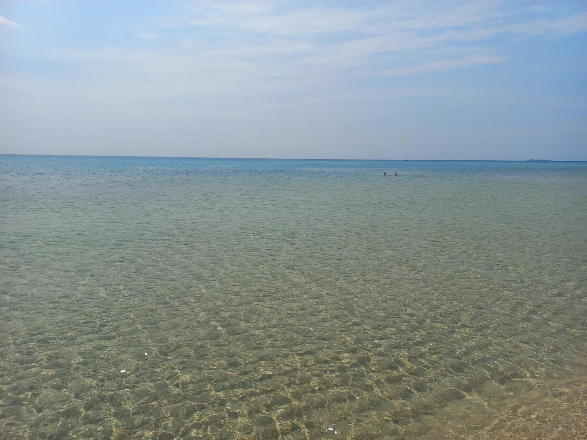 Residenza Parco Degli Ulivi Villa Villamassargia Luaran gambar